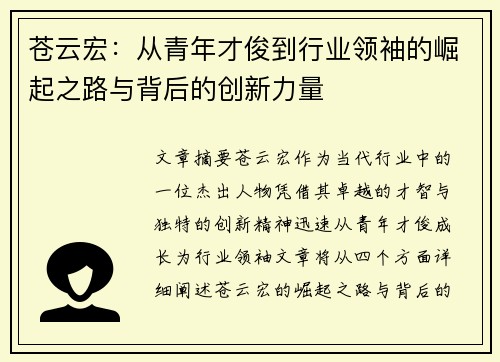 苍云宏：从青年才俊到行业领袖的崛起之路与背后的创新力量